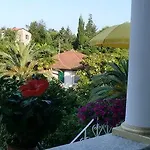 מלון Delle Rose ראפאלו