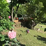 Delle Rose מלון ראפאלו
