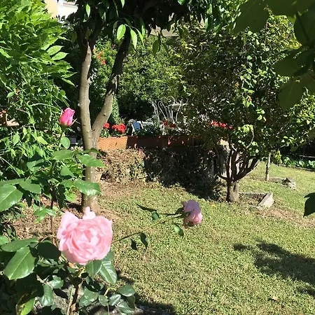 Delle Rose Szálloda Rapallo