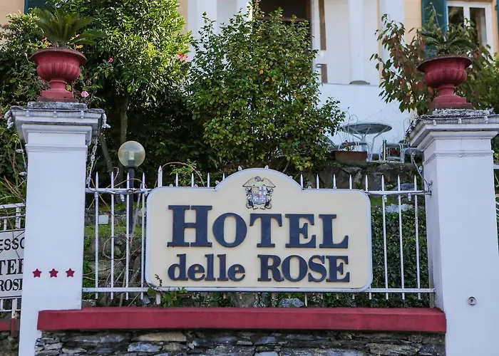 Delle Rose Hotel 3*