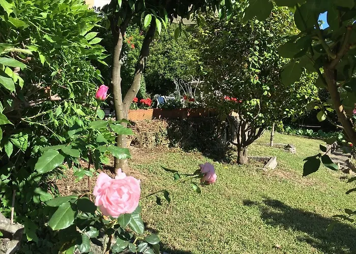 Delle Rose מלון ראפאלו